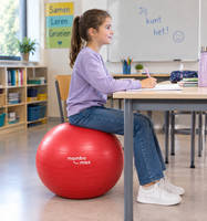 Mambo Max AB Gym Ball - zitbal - 55 cm