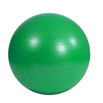 Mambo Max AB Gym Ball