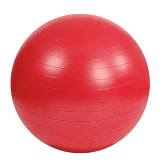 Mambo Max AB Gym Ball