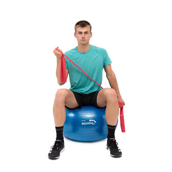 Mambo Max AB Gym Ball - zitbal - 55 cm