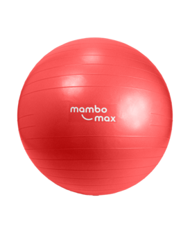 Mambo Max AB Gym Ball - zitbal - 55 cm