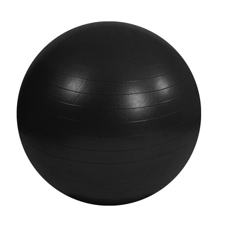 Mambo Max AB Gym Ball