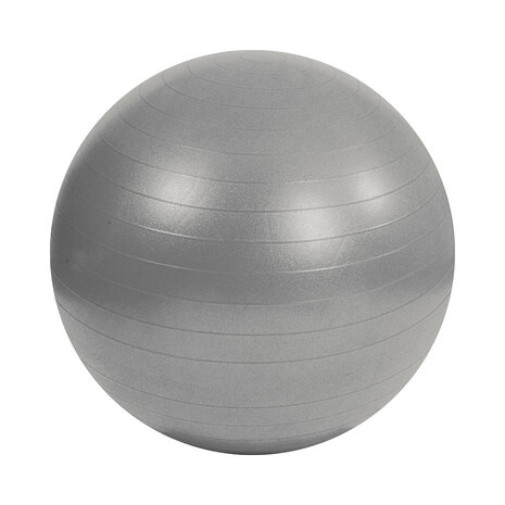 Mambo Max AB Gym Ball