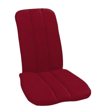 RUGSTEUN BETTERBACK JOBRI