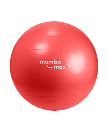 Mambo Max AB Gym Ball - zitbal - 55 cm