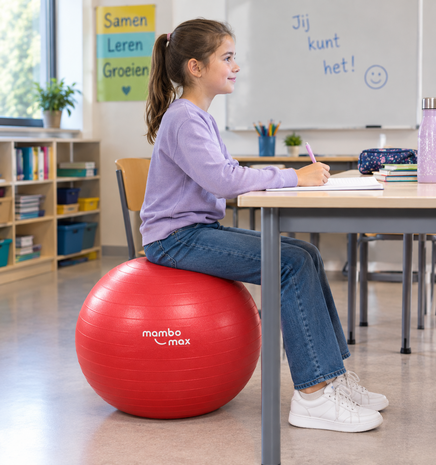 Mambo Max AB Gym Ball - zitbal - 55 cm