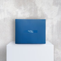 Mambo Max Balance Pad Pro